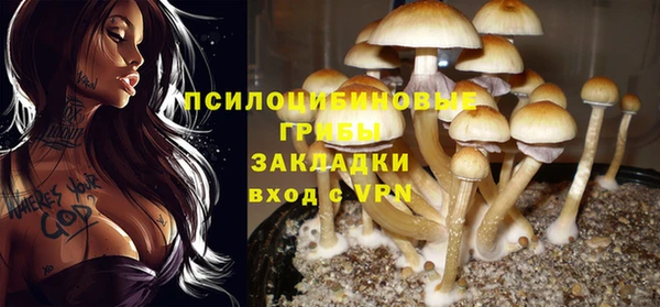 дистиллят марихуана Новодвинск